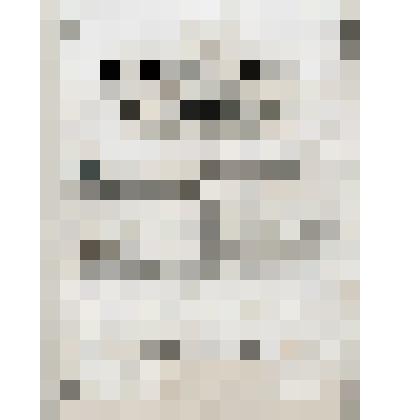 Нотное издание: "Романсы и песни"