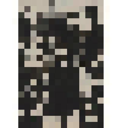 Вечерний букет