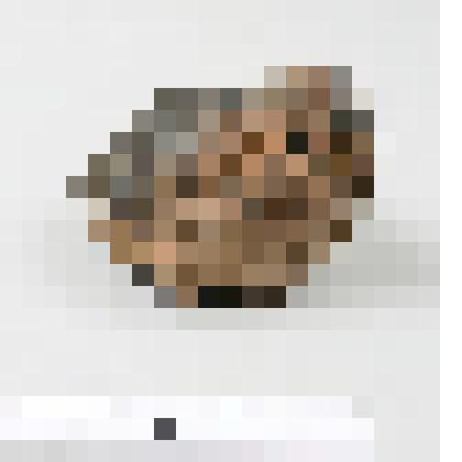 Минералы. Черный турмалин. Шерл. Из комплекта: Коллекция минералов и горных пород