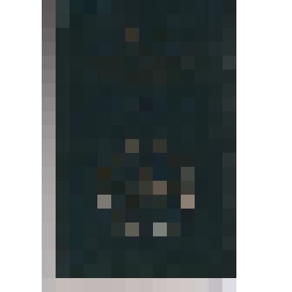 Книга: "М.Ю. Лермонтов в воспоминаниях современников"