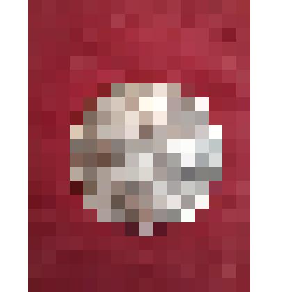 Значок "Клуб альпинистов - проводников"  - Тебердиева Азрета Малчиевича- двукратного чемпиона СССР по альпинизму