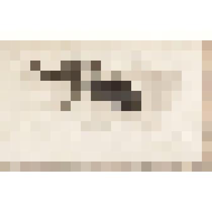 Пейзаж с оврагом, из альбома  «190 пейзажей; зарисовки, иллюстрации, карикатуры»