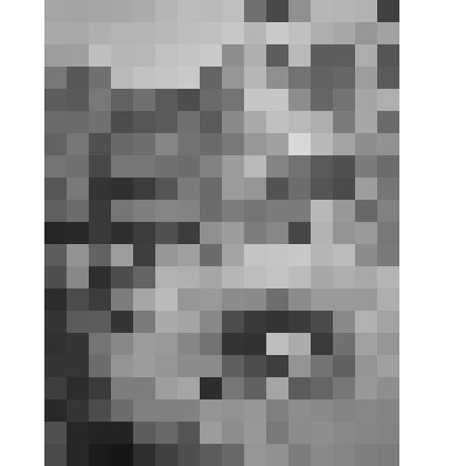 Рисунок. "Золотая рыбка", из серии "Поэзия А.С.Пушкина в рисунках детей, учащихся изостудии зеленоградского Дворца Творчества детей и молодежи"