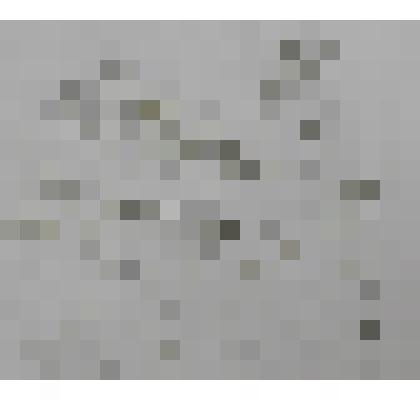 Смерть Адониса