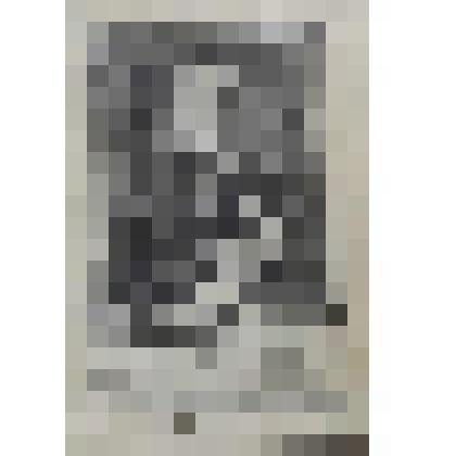 Портрет Карла Генриха Лангеуса