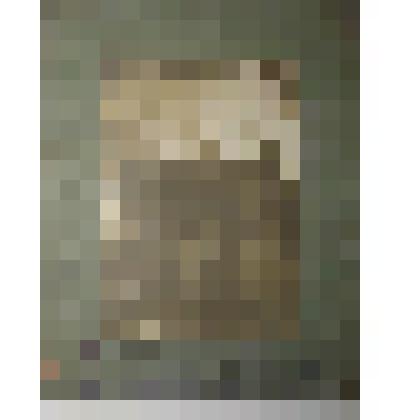 Фотография  Бергавинова С.А. (групповая) "Секретари ДВ Крайкома ВКП(б) г. Хабаровск"