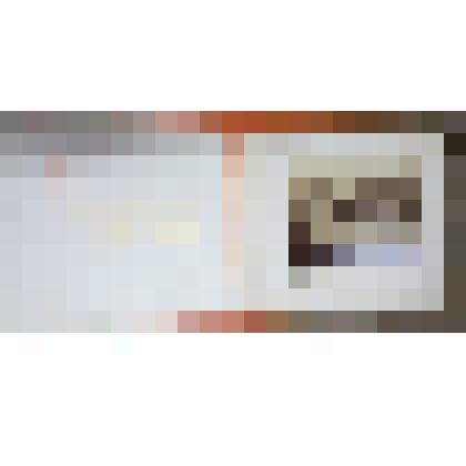 Альбом с фотографией Г.И. Раева "Лермонтовская скала"