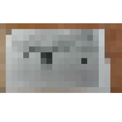 Фото старта Липецких участников полуфинала ВОС по конькам, 1982 г