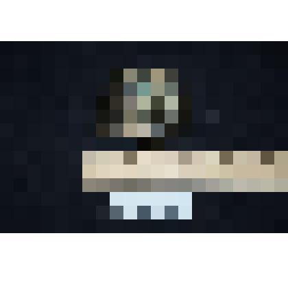 Раковина аммонита