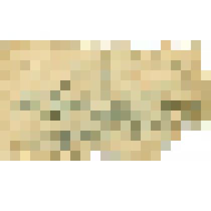 Документ. Выписка из приказа Михайловой А. В