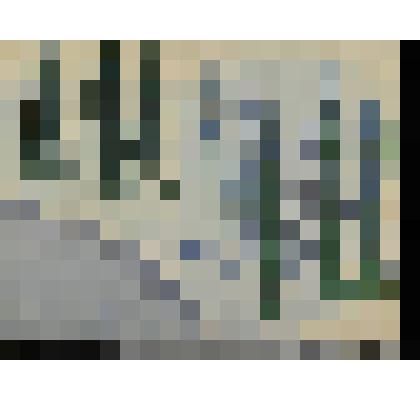 Косогор с елями