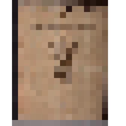 Книга. Ежегодник Императорских театров. Выпуск XIV. Сезон 1903-1904. Приложение. Редактор П.П. Гнедич