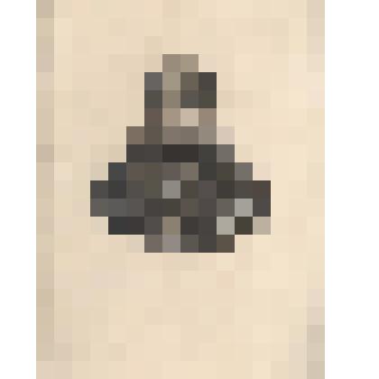 Гравюра «Портрет Лассаля»