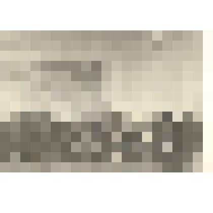 Фотография: передовики сельского хозяйства Каменского района, награжденные орденами и медалями