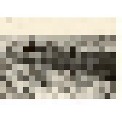 Фотография: раннее весеннее боронование в совхозе "Рыбинский" Каменского района Алтайского края