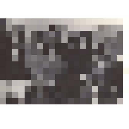 Фотография: встреча с участниками фестиваля молодежи Берлин-Бухарест. Среди присутствующих Подшивайлов Денис Протасович