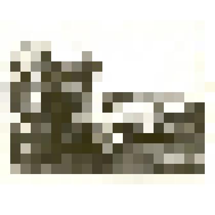 Фотография: дом купца Миловидова по улице Главной в с.Камень Барнаульского уезда Томской губернии. Копия