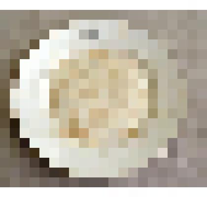 Тарелка с надписью «С.К.К.» (Симбирский кадетский корпус)