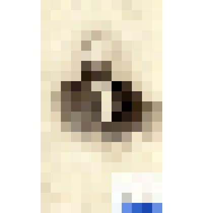 Фотография черно-белая. Т....? Аркадий Иванович