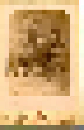 Фотография. Степа Митусов на лошади