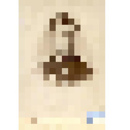 Фотография черно-белая. Новиков Андрей Федорович