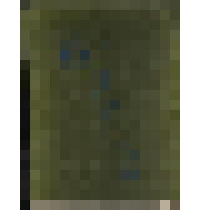 Фото альбом "Воспоминания учащихся из с.Свирино"