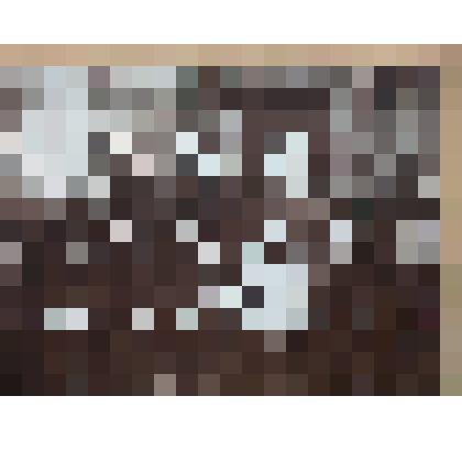 Фотография открытия Лопандинского сахарного завода в 1898 г. В центре княгиня Мария Воейкова. 19 век