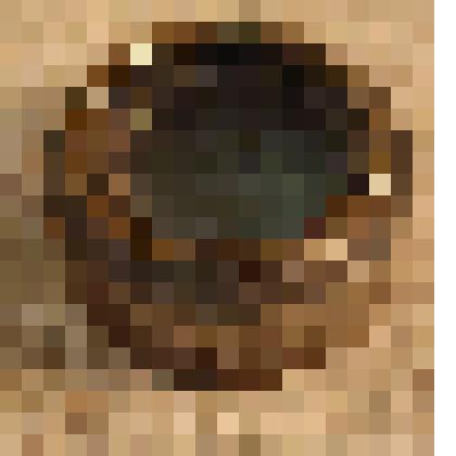 Окуляр для объектива фотоаппарата павильонного, из коллекции предметов быта от сотрудников Саратовского областного музея краеведения