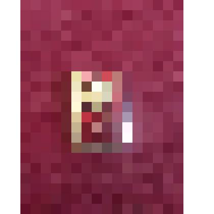 Значок с изображением В.И.Ленина