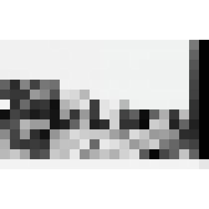 Негативы. Фотонегатив. Торжественное открытие праздника. Колонна конников