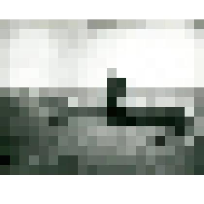 Фотография. Якут-промышленник около ветки. Дельта р. Лены