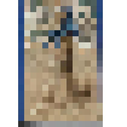 Открытка. А.П.Чехов «Каштанка». /Руководитель проекта С. Л. Тишков.-Р. SIA " PRESES NAMS BALTIC" 2011