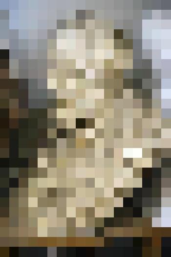 Бюст Владимира Григорьевича Черткова