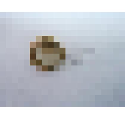 Пуговица на ножке, отделочная