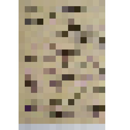 Анкета раскулаченного гражданина Мальцева Андрея Поликарповича