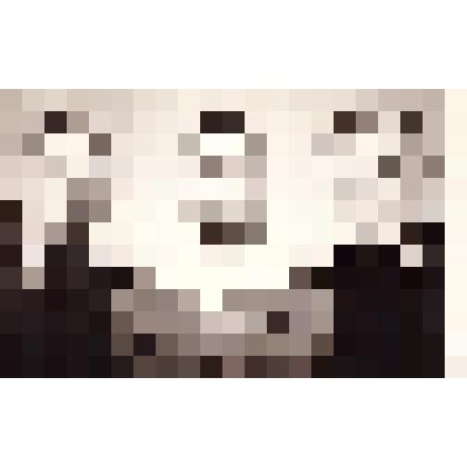 Фотография. Потомственные агрономы Анатолий Дмитриевич (слева) и Сергей Дмитриевич Тяжельниковы с сестрой Ниной Дмитриевной