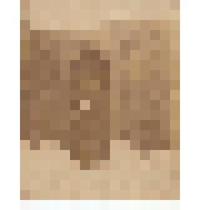 Ф/чб. Цепкова Анна Ивановна (портреты женщины). Покровская сл. 1912