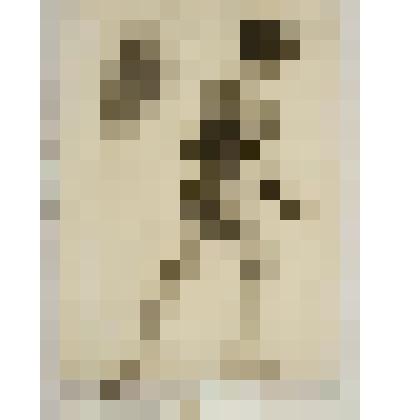 Натурщик со спины