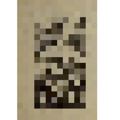 Рукопожатие в земном шаре.



Гравюра