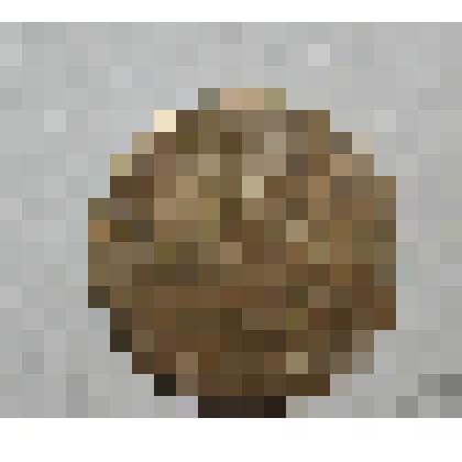 Монета. 2 копейки