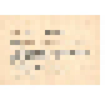 Документ. Справка об объявлении благодарности за отличные боевые действия при прорыве сильной обороны немцев в горах Вэртэшхедьшэг западнее Будапешта и овладении городами Естергом, Несмей, Фельше-Галла и Тата. Выдана гв. рядовому Калмыкову Михаилу Семёнов