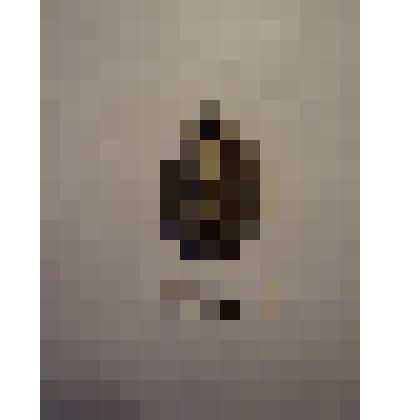 Жетон с изображением Л.Н.Толстого