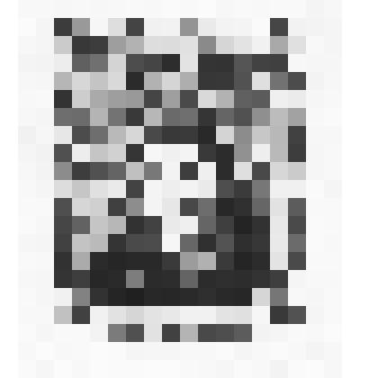 Экслибрис "Ex libris Г. Василащук"