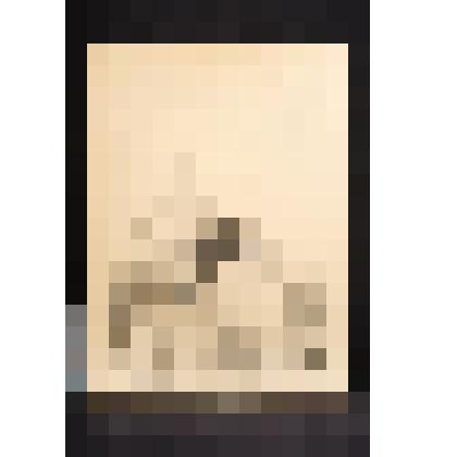 Раскрытие Медного всадника