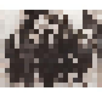 Фотокопия черно-белая групповая с изображением группы командиров партизанского отряда К.А.Трунова