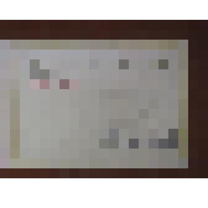 ДИПЛОМ АДАМЕНКО ВАСИЛИЮ ЕФИМОВИЧУ-ЧАБАНУ СОВХОЗА "ПРИМОРЬЕ"