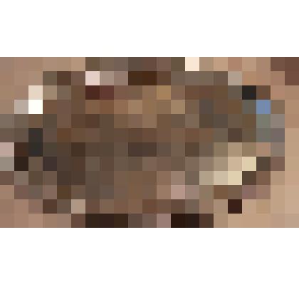 Поднос под самовар