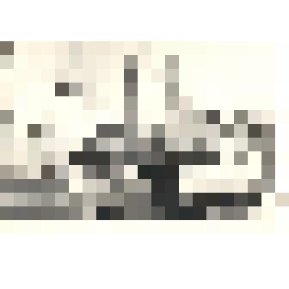 Фотография: демонстрация 1 мая 1961 года в г.Камне-на-Оби Алтайского края