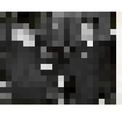 Фотография. Председатель Президиума Верховного Совета СССР Ворошилов К.Е. вручает Азарову В.Я. орден Трудового Красного Знамени, 1957 г