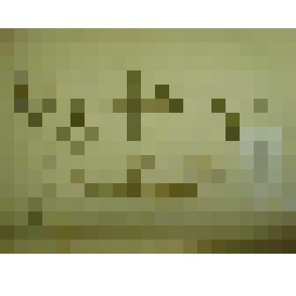 Гербарий. Мягковолосник водный. Из гербария "Флора Ингрика"